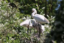 IMG_1539 null