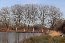 Wilhelminapark_5 null