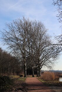 Wilhelminapark_8 null